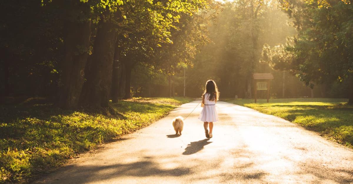 Jefferson Townhomes Townhouse Richmond Hill Ontario Canada preconstruction