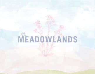 The Meadowlands Townhomes