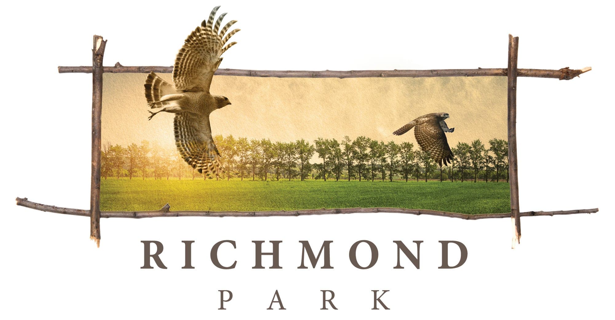 Richmond Park