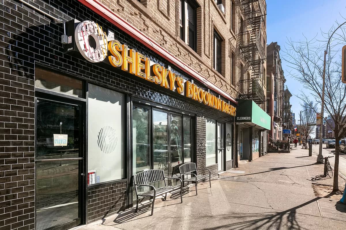 The Genesis - 1705232667027 c2b7b148df073a634d8ec151548ef573 se extra large 1500 800 The Genesis - 1705232667027 c2b7b148df073a634d8ec151548ef573 se extra large 1500 800