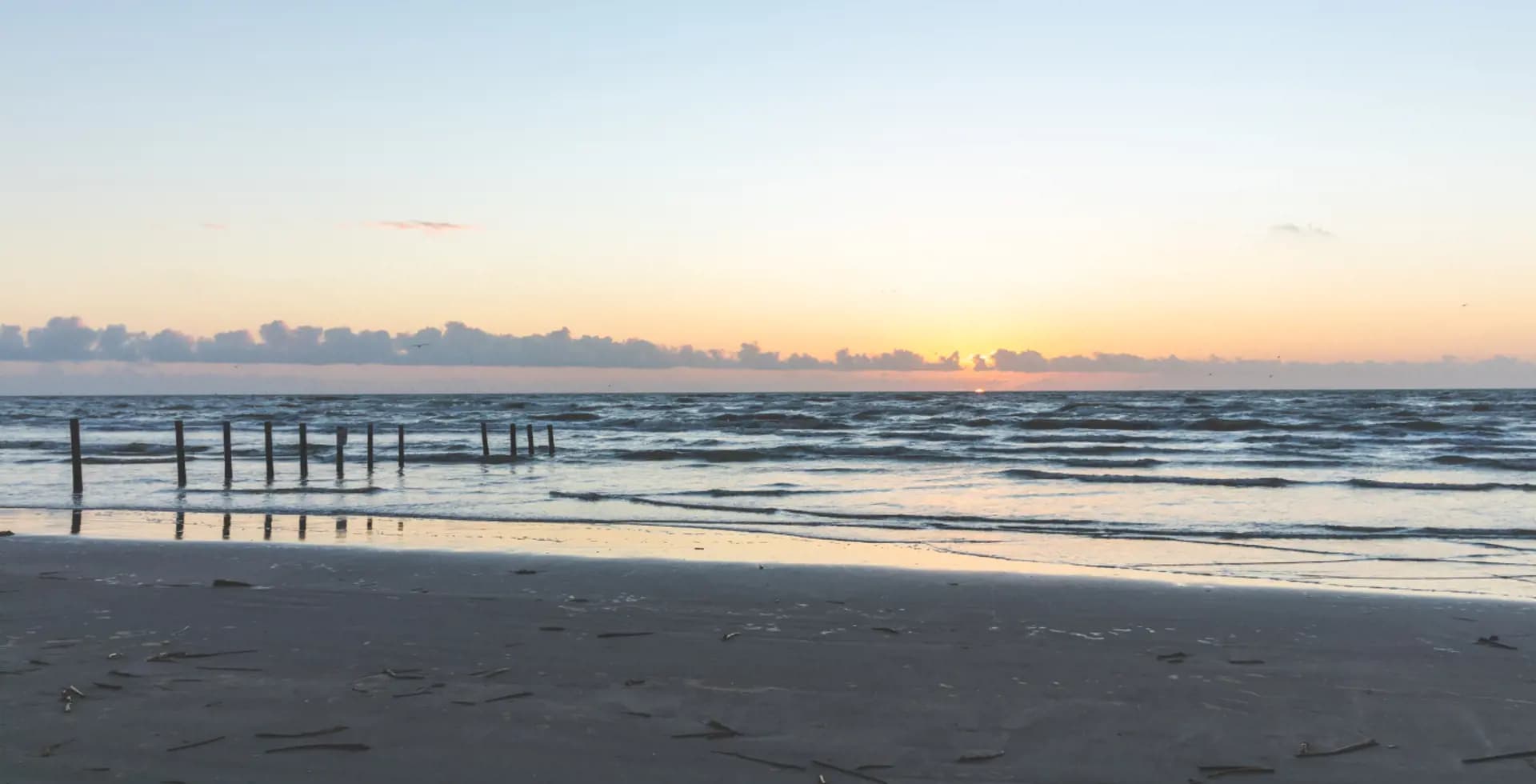 Starlight Estates - 1713936180830 2024 04 09 09 56 23 2024 04 09 05 56 04 280 san corpuschristi pic whitecapbeach photoshoot Starlight Estates - 1713936180830 2024 04 09 09 56 23 2024 04 09 05 56 04 280 san corpuschristi pic whitecapbeach photoshoot