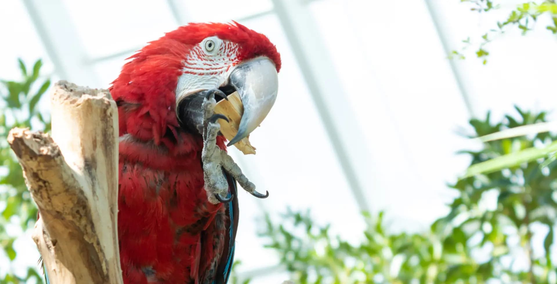 Starlight Estates - 1713936180830 2024 04 09 09 56 26 2024 04 09 05 56 06 264 san corpuschristi pic texasstateaquariumjungle photoshoot Starlight Estates - 1713936180830 2024 04 09 09 56 26 2024 04 09 05 56 06 264 san corpuschristi pic texasstateaquariumjungle photoshoot