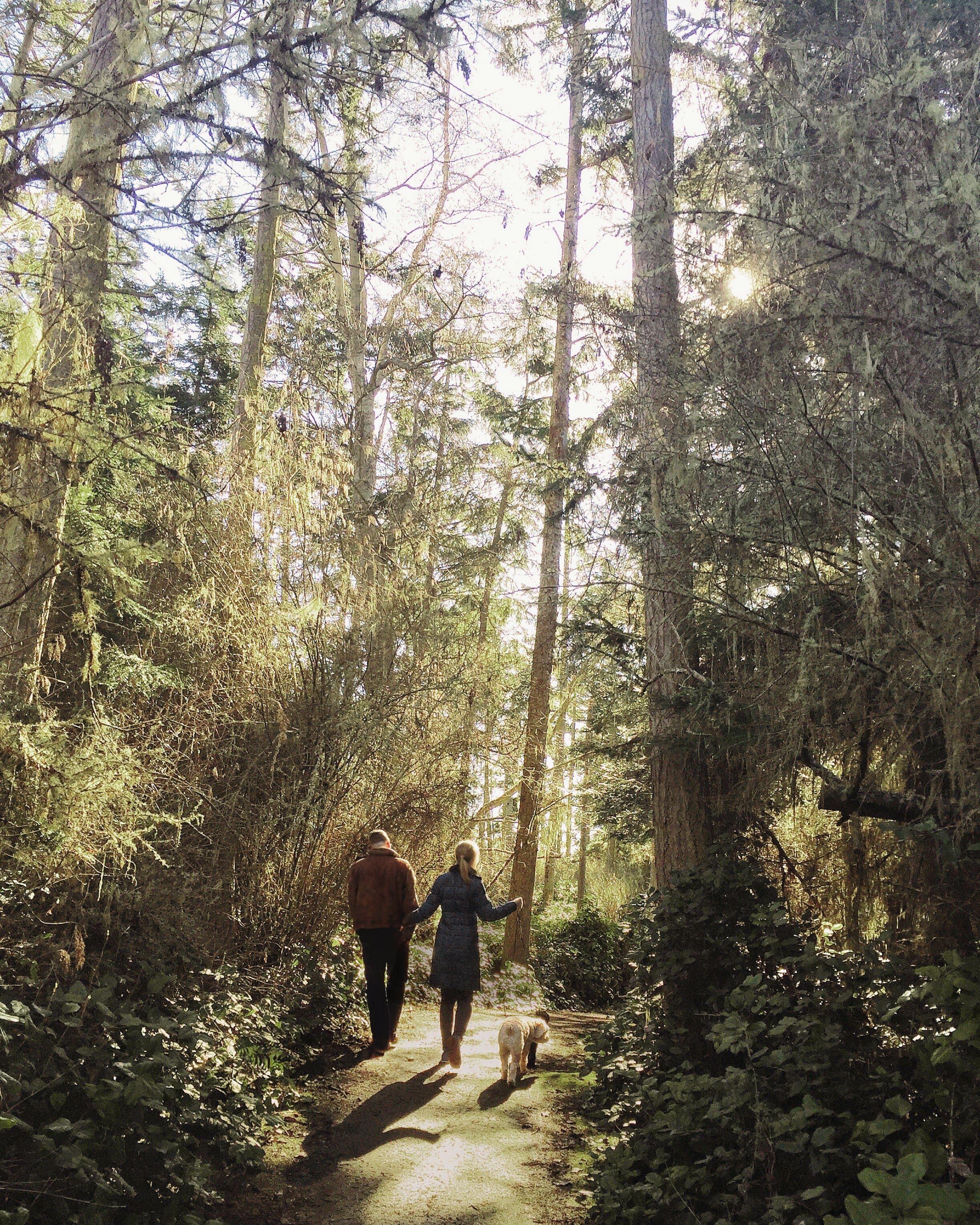 West Brooklin Homes - Ashburn Rd & Hwy 7, Whitby, ON L1M 2B5, Canada West Brooklin Homes - Ashburn Rd & Hwy 7, Whitby, ON L1M 2B5, Canada