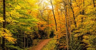 Wynstone at Lackner Ridge Condo Kitchener Ontario Canada preconstruction Wynstone at Lackner Ridge Condo Kitchener Ontario Canada preconstruction