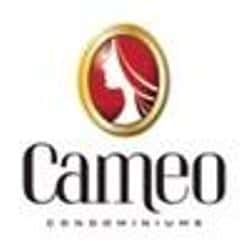 Cameo Condo in Mississauga, Ontario, Canada preconstruction Cameo Condo in Mississauga, Ontario, Canada preconstruction