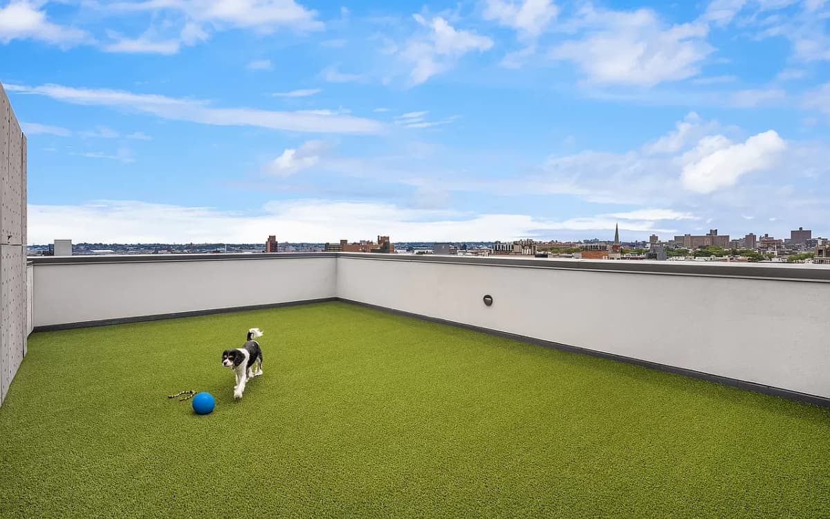 The Umbrella Factory Condo Brooklyn New York Usa preconstruction The Umbrella Factory Condo Brooklyn New York Usa preconstruction