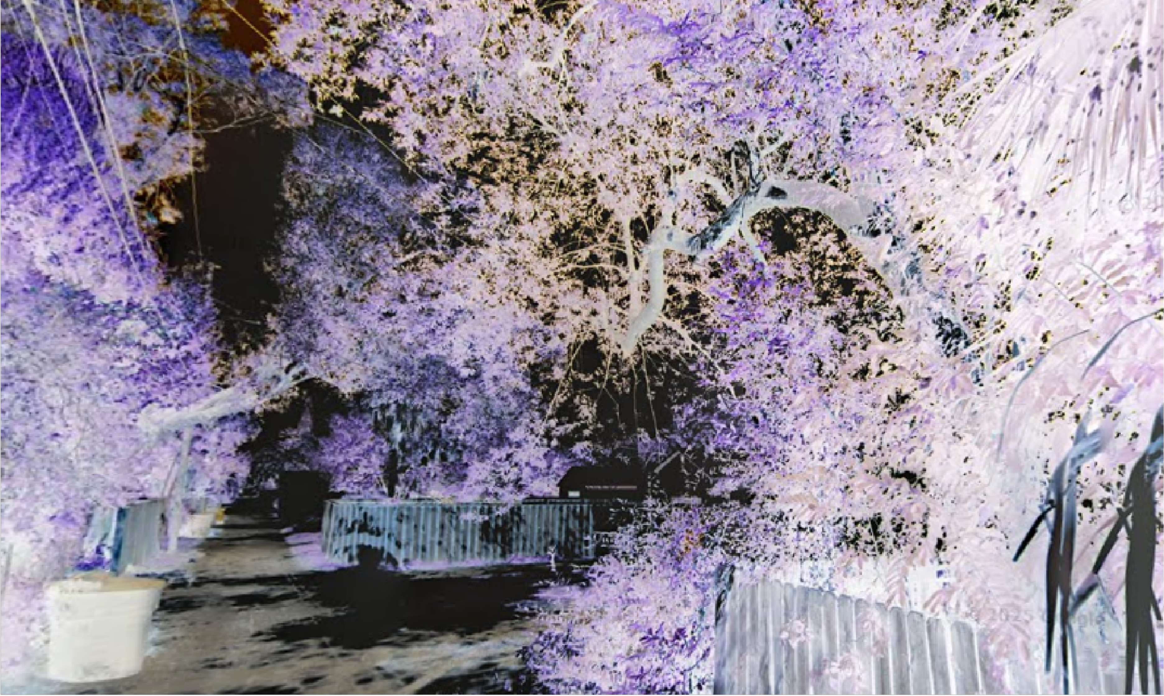 The Frederick Condos - Toronto, Ontario