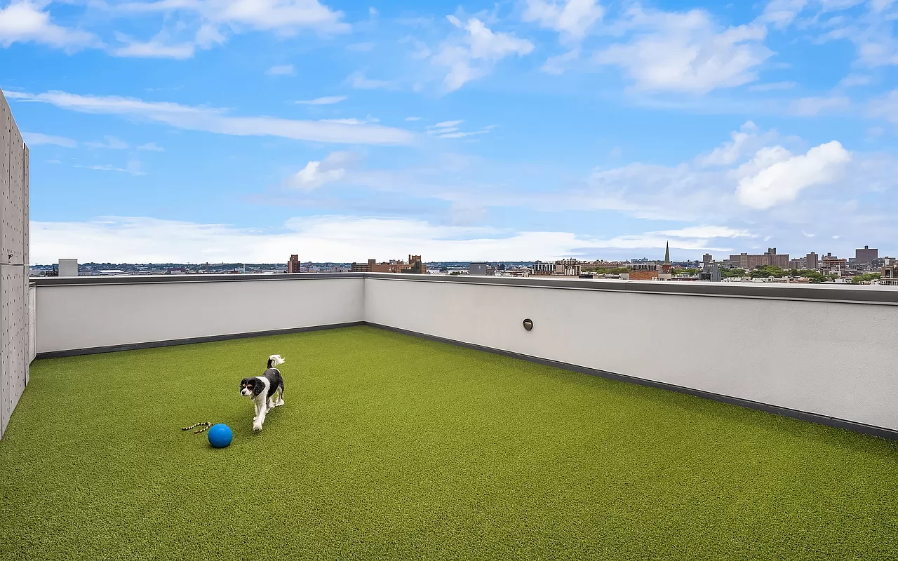 The Umbrella Factory Condo Brooklyn New York Usa preconstruction