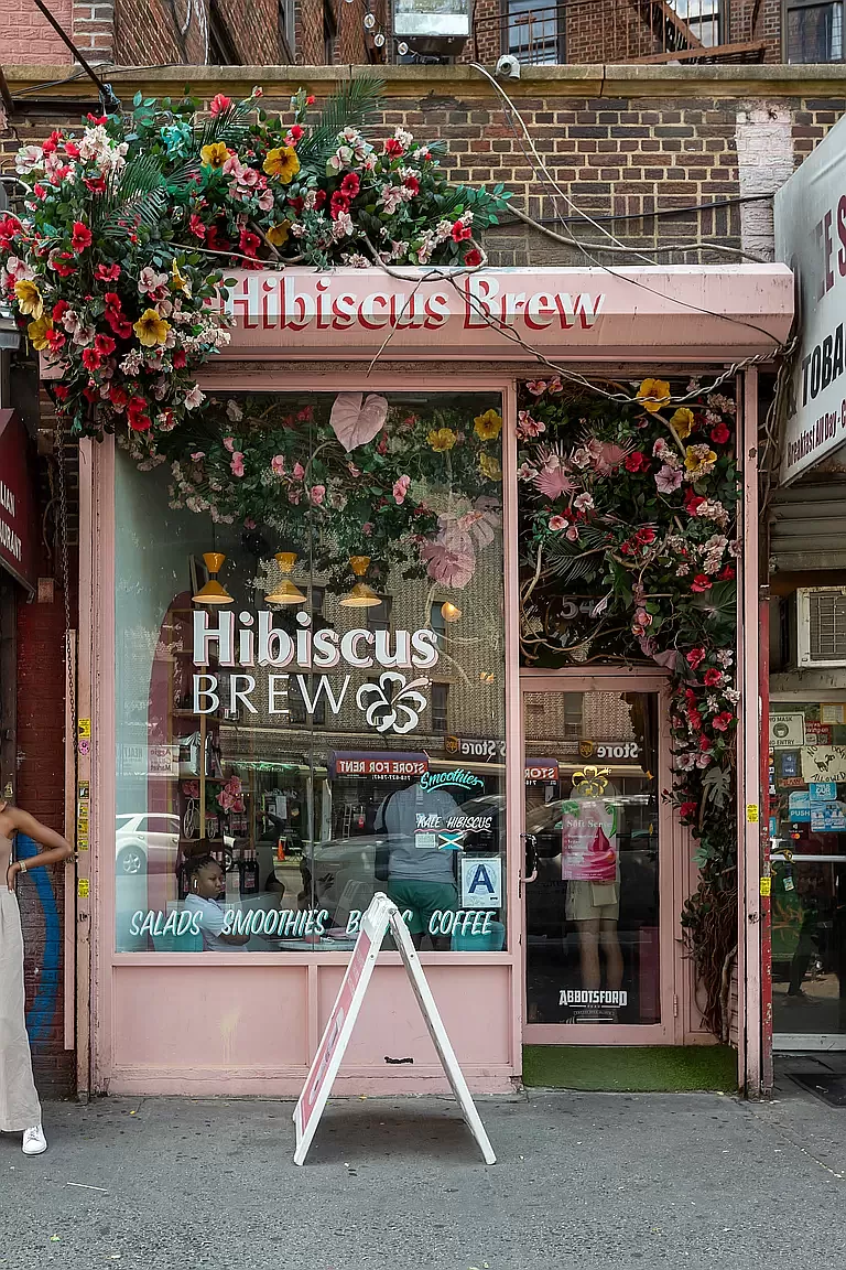 406 Midwood Street Condo Brooklyn New York Usa preconstruction