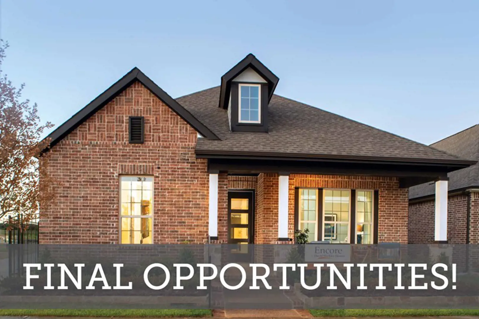 Elements at Viridian Signature Series Detached Arlington Texas Usa preconstruction