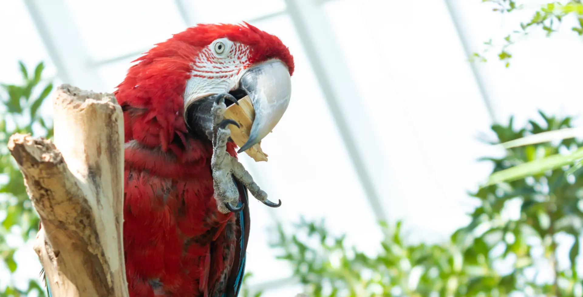 Starlight Estates Detached Corpus Christi Texas Usa preconstruction