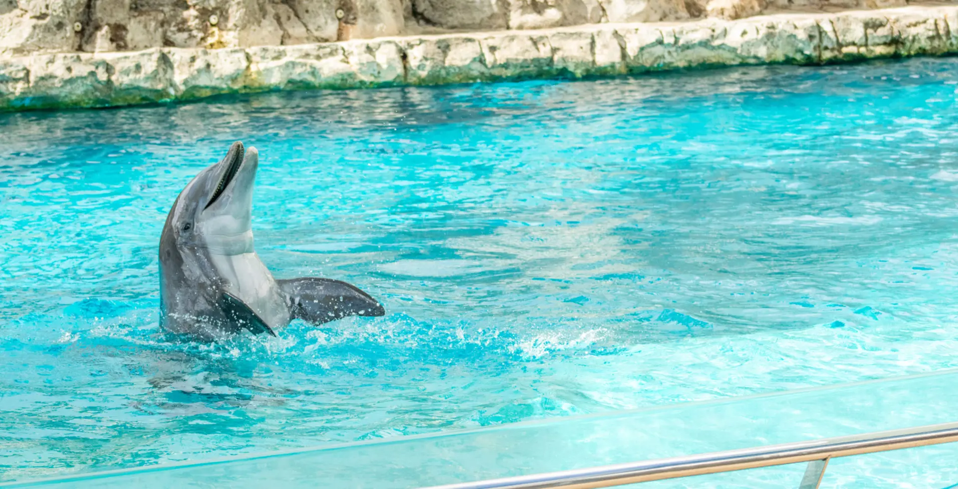 Starlight Estates Detached Corpus Christi Texas Usa preconstruction